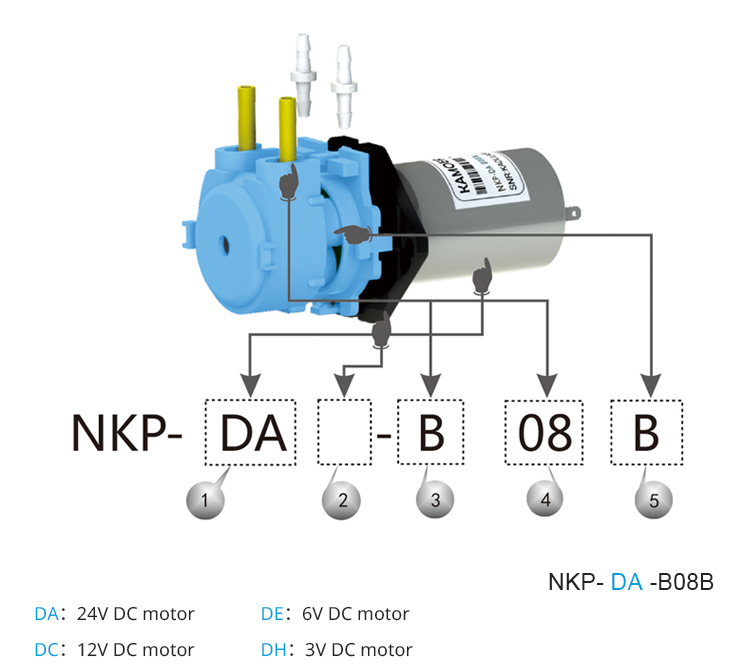 2026 new NKP 6V 12V 24V DC mot - Nutrition & Fitness Hub Photos review and price